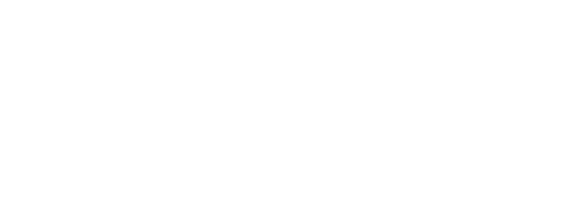 TDV Fleet